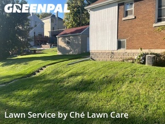 Lawn Cut nearby Rockdale, IL, 