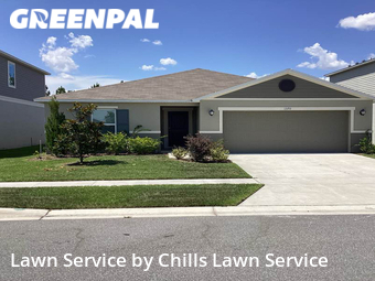 Grass Cut nearby Davenport, FL, 