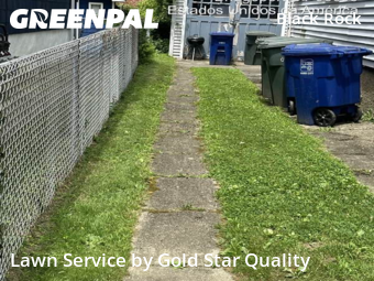 Lawn Management in Bridgeport, 6605, Grass Services by Gold Star Quality , work completed in Nov , 2025