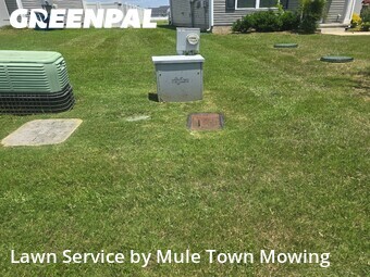 Lawn Cut nearby Christiana, TN, 