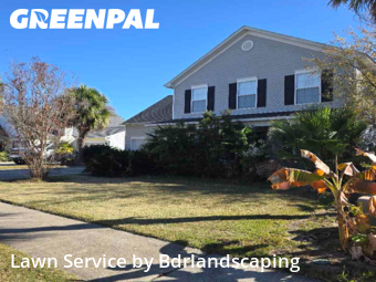 Yard Upkeep in Summerville, 29483, Yard Upkeep by Bdrlandscaping, work completed in Dec , 2025