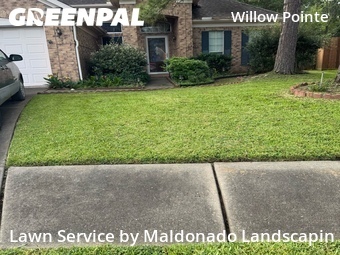 Yard Cutting nearby Houston, TX, 