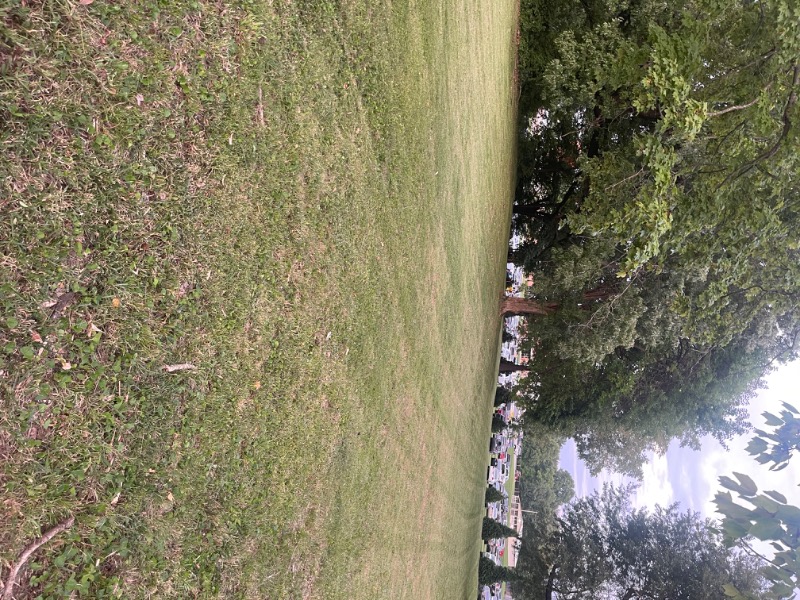 Martin Lawncare Lawn Care Services in Manitou, KY