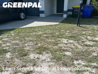 Lawn Service nearby Sebring, FL, 