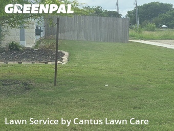 Yard Cutting nearby San Antonio, TX, 