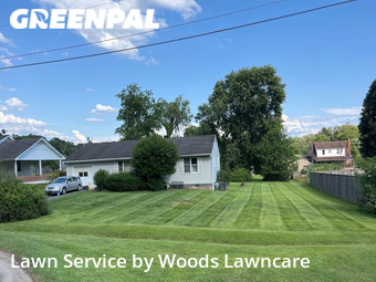 Grass Cutting nearby Kingsport, TN, 