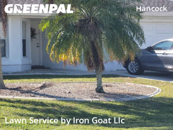 Grass Cut nearby Cape Coral, FL, 