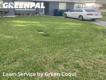 Lawn Cuttingin Tampa,33609,Lawn Care Service by Green Coqui, work completed in Nov , 2025