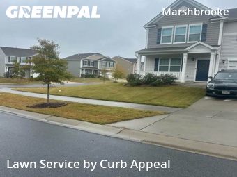 Grass Cuttingin Matthews,28105,Yard Mowing by Curb Appeal, work completed in Dec , 2025