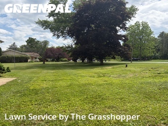 Lawn mowed in Ellington, 6029
