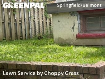 Lawn mowed in Newark, 7103