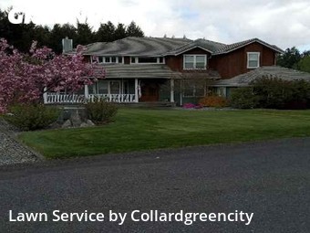 Lawn Care nearby Olympia, WA, 