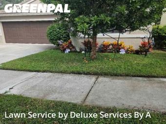 Property Maintenance in Coconut Creek, 33073, Yard Mowing by Deluxe Services By A, work completed in Nov , 2025