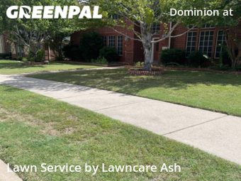Yard Cutting nearby Frisco, TX, 