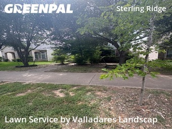 Grass Cuttingin The Woodlands,77382,Lawn Mowing Service by Valladares Landscap, work completed in Oct , 2025
