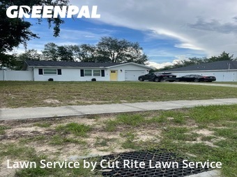 Lawn Mowing Service nearby Spring Hill, FL, 