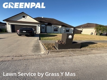 Lawn mowed in Brownsville, 78526