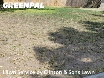 Yard Cutting nearby Converse, TX, 