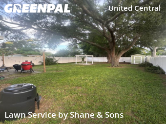 Grass Cut nearby St. Petersburg, FL, 