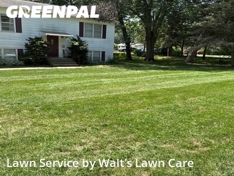 Lawn Mow nearby Grand Rapids, MI, 