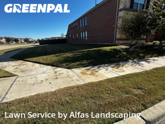 Yard Cutting in Farmers Branch, 75006, Yard Cutting by Alfas Landscaping, work completed in Dec , 2025