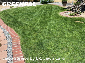 Lawn Cut nearby Albuquerque, NM, 