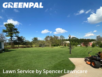 Grass Cutting nearby Lyman, SC, 