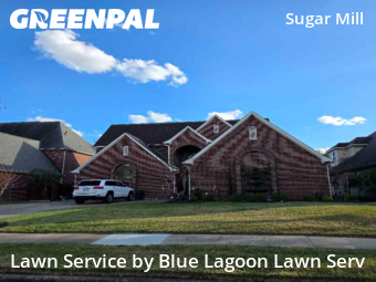 Yard Cuttingin Sugar Land,77498,Grass Cutting by Blue Lagoon Lawn Serv, work completed in Jan , 2026