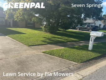 Lawn Care nearby Trinity, FL, 