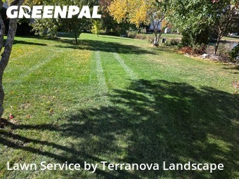Yard Care in Oswego, 60543, Yard Grooming by Terranova Landscape, work completed in Nov , 2025