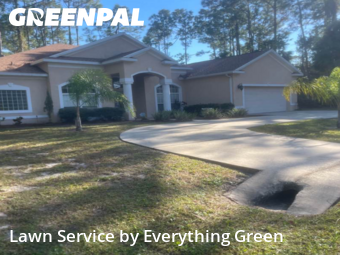 Lawn Maintenance in Palm Coast, 32164, Yard Care by Everything Green , work completed in Nov , 2025