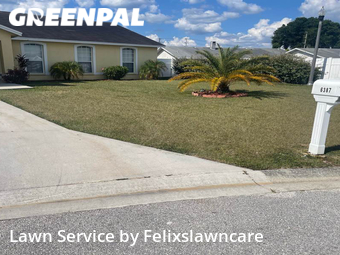 Grass Cut nearby Lakeland, FL, 