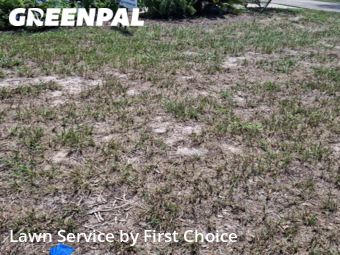 Lawn Service nearby St. Augustine, FL, 