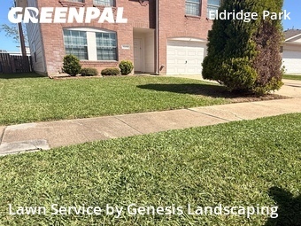 Grass Cut nearby Sugar Land, TX, 