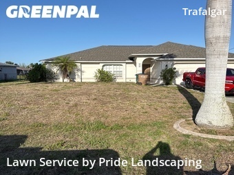 Grass Cut nearby Cape Coral, FL, 