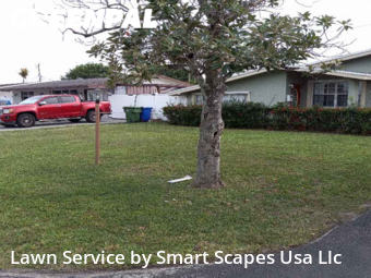 Grass Cut nearby Pembroke Pines, FL, 