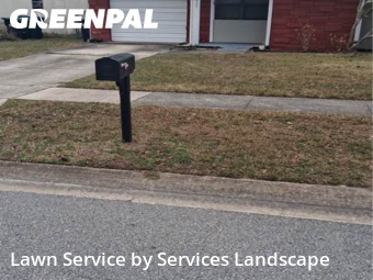 Yard Cutting nearby Orlando, FL, 