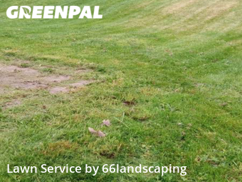 Grass Cut nearby Woodbridge, VA, 