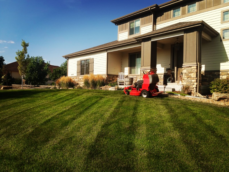 the-yard-cutting-businesses-in-Cheyenne-WY