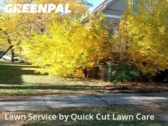 Grass Cutting nearby Chicago, IL, 