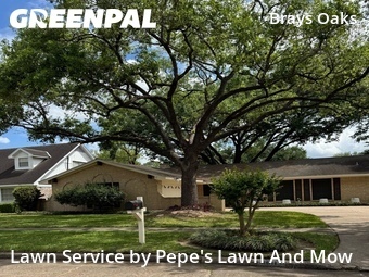 Lawn Care nearby Houston, TX, 