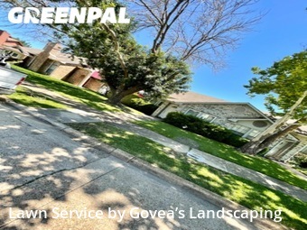 Yard Cutting nearby Mesquite, TX, 