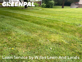 Grass Cut nearby Oak Ridge, TN, 