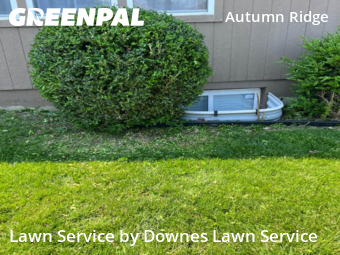 Lawn Care Service nearby Olathe, KS, 