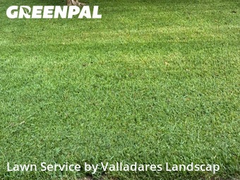 Grass Cutting nearby Rosenberg, TX, 