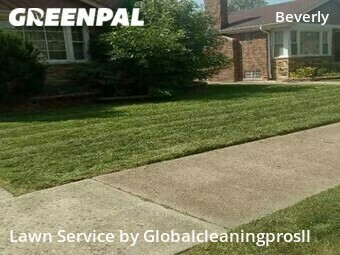 Lawn Care nearby Chicago, IL, 