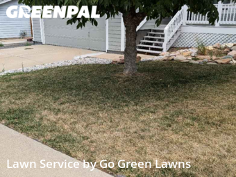 Lawn Mow nearby Brighton, CO, 