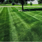 local-lawn-cutting-services-in-Eagan-MN
