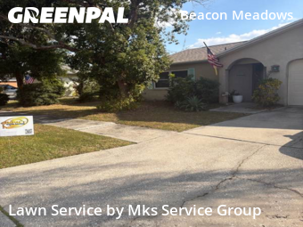 Yard Cutting nearby Tampa, FL, 