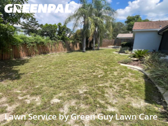 Lawn Maintenancein Palm Harbor,34684,Lawn Mow by Green Guy Lawn Care, work completed in Nov , 2025